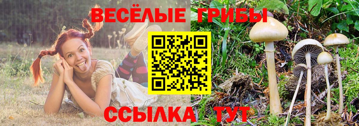 Галлюциногенные грибы MAGIC MUSHROOMS Бугуруслан