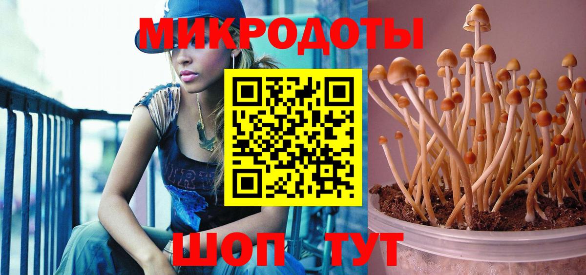 Псилоцибиновые грибы ЛСД  Вход с VPN  Псилоцибиновые грибы прущие грибы  Бугуруслан 